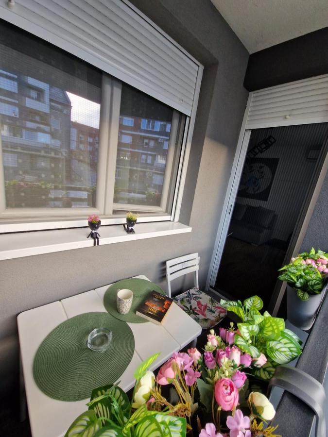 Apartman Astra Szávaszentdemeter Kültér fotó